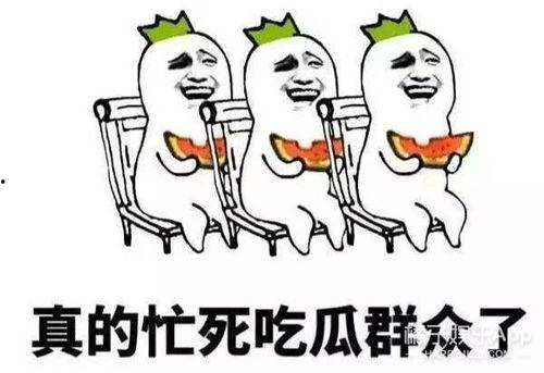 娱乐吃瓜在此